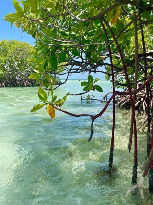 Apartamento Les Pieds Dans L'Eau Chez Syl Le Moule Exterior foto