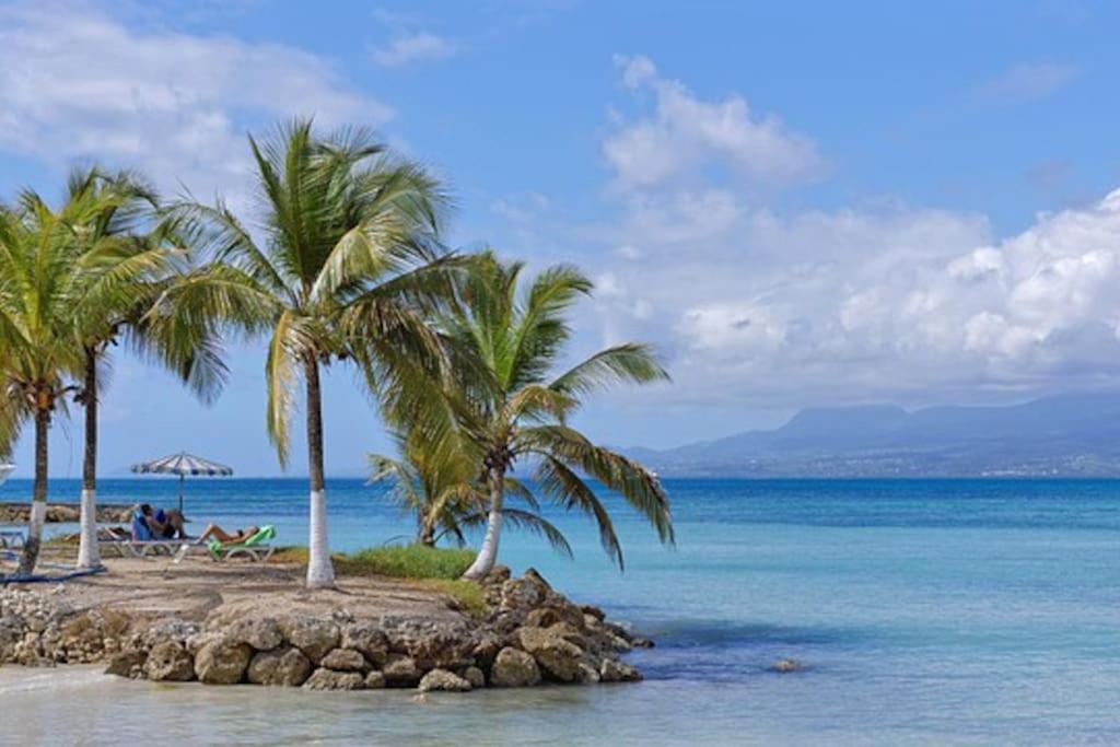 Apartamento Les Pieds Dans L'Eau Chez Syl Le Moule Exterior foto