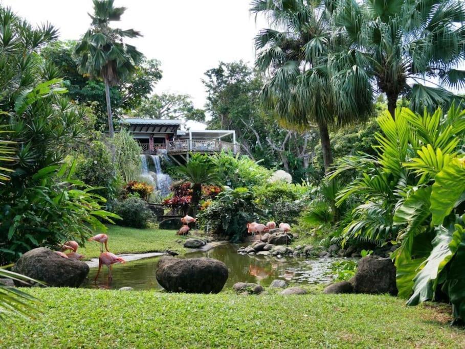 Apartamento Les Pieds Dans L'Eau Chez Syl Le Moule Exterior foto