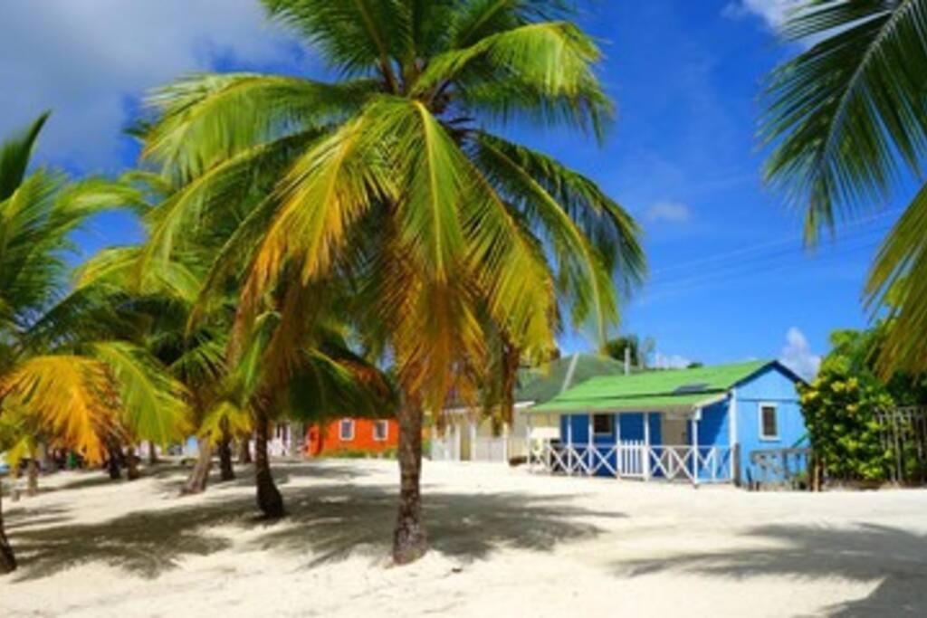 Apartamento Les Pieds Dans L'Eau Chez Syl Le Moule Exterior foto