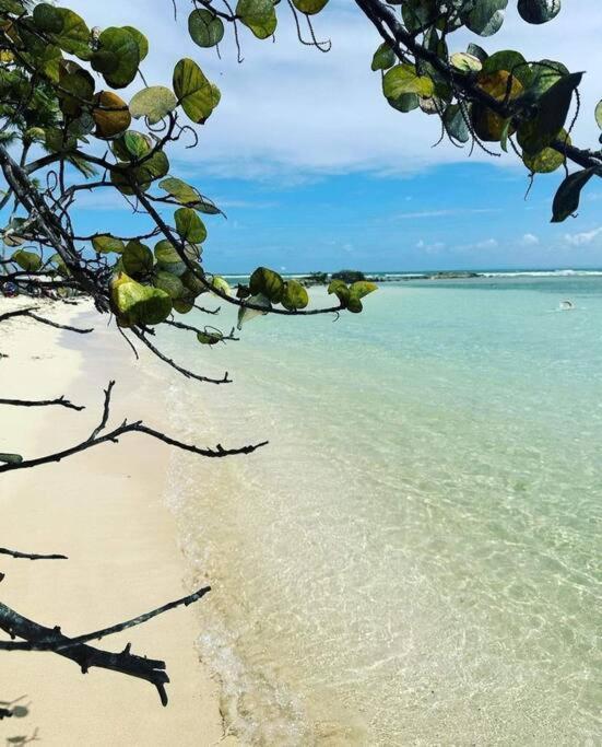 Apartamento Les Pieds Dans L'Eau Chez Syl Le Moule Exterior foto