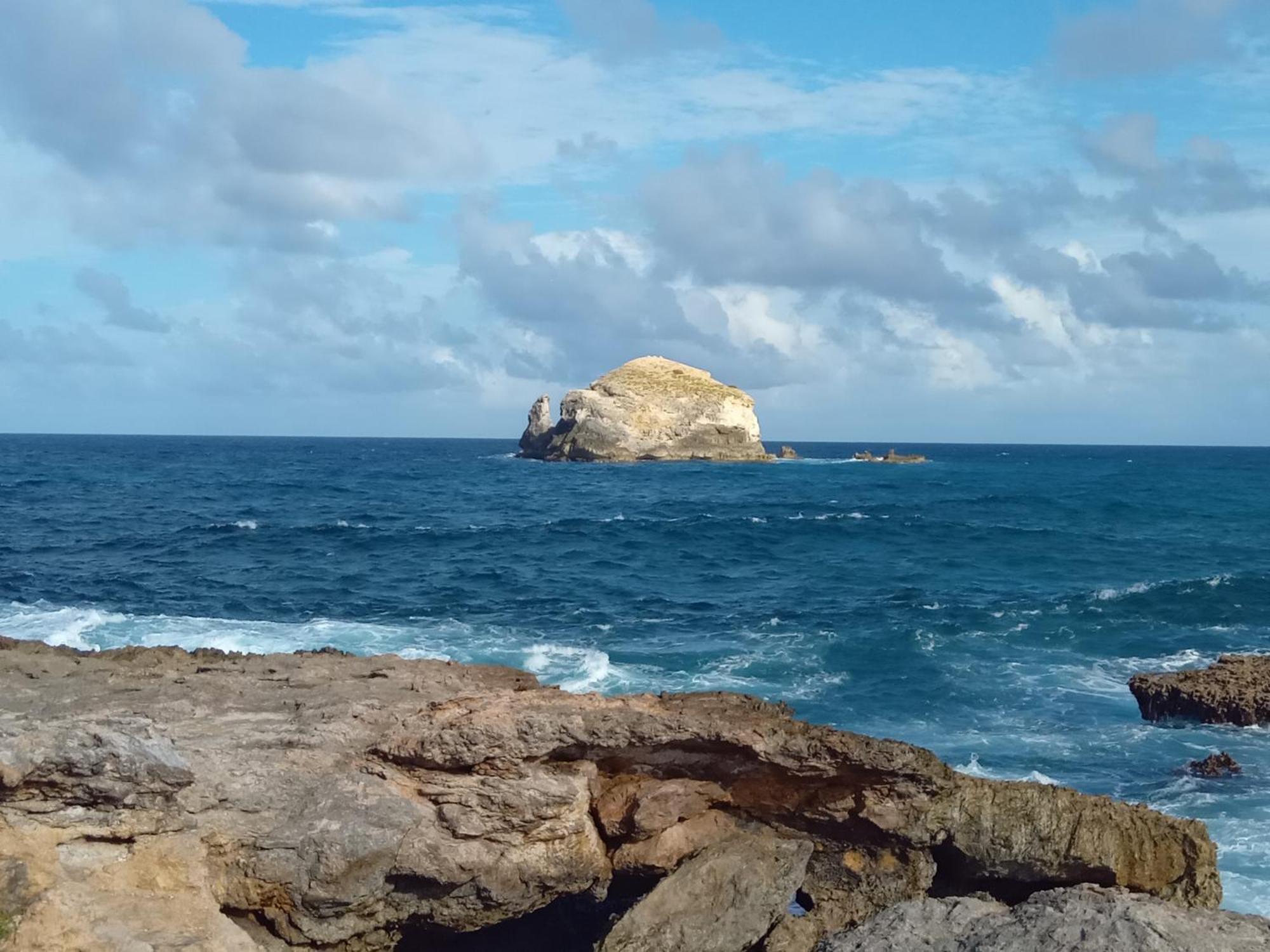 Apartamento Les Pieds Dans L'Eau Chez Syl Le Moule Exterior foto